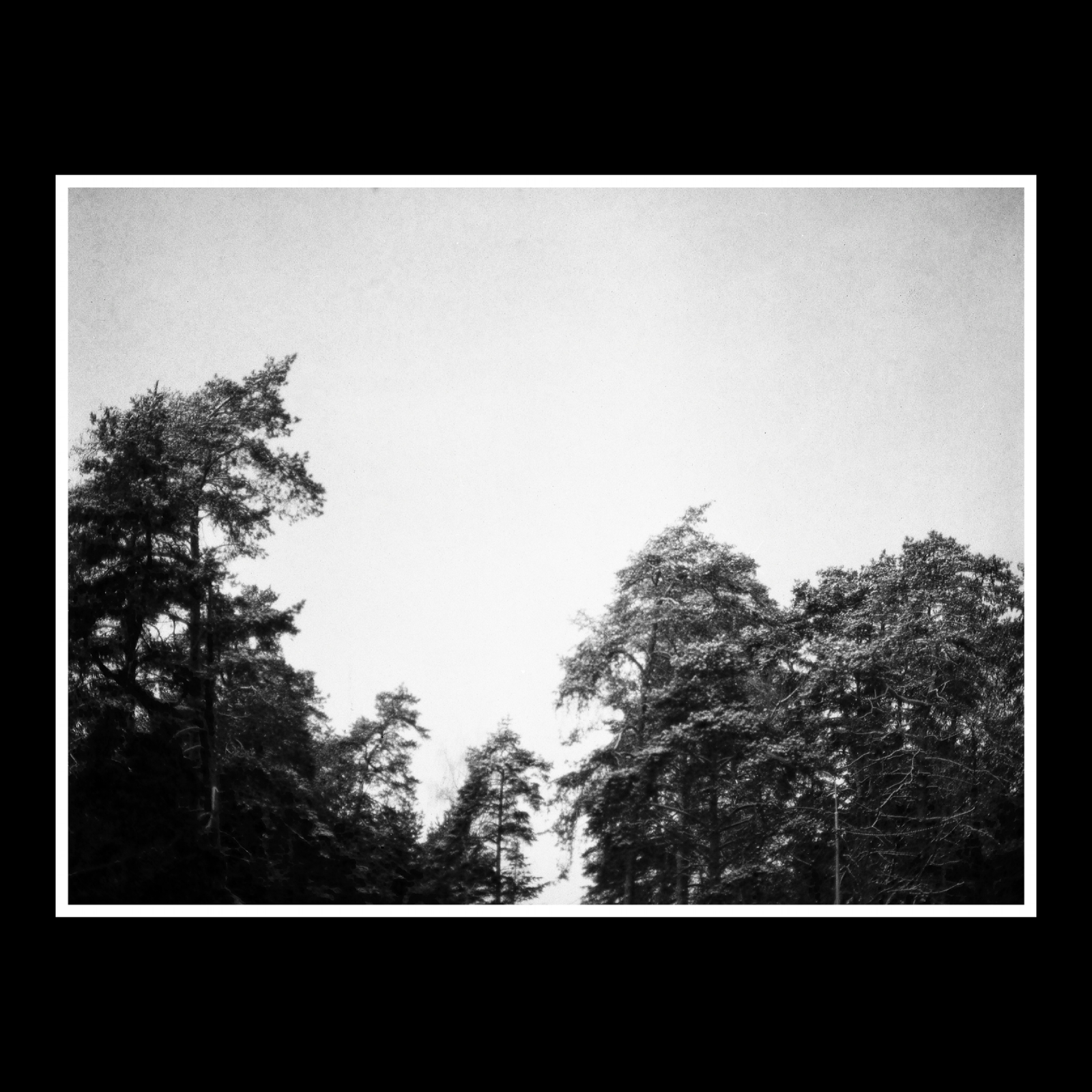 Frost in Ramenskoye - camera roll, Film, Black and white, My, My, The photo, Longpost, Medium format, The film did not die, Ramenskoe