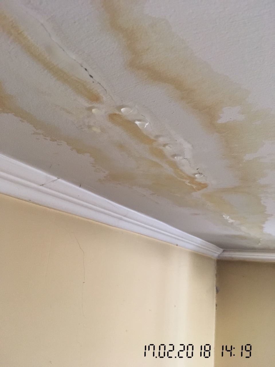 The roof is leaking! - My, Utility services, Roof, Leakage, Legal aid, Longpost, No rating, Help