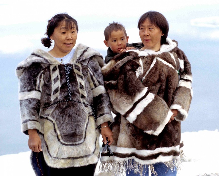 Seagull wine... - Eskimos, Inuit, Canada, Seagulls, Wine, Longpost