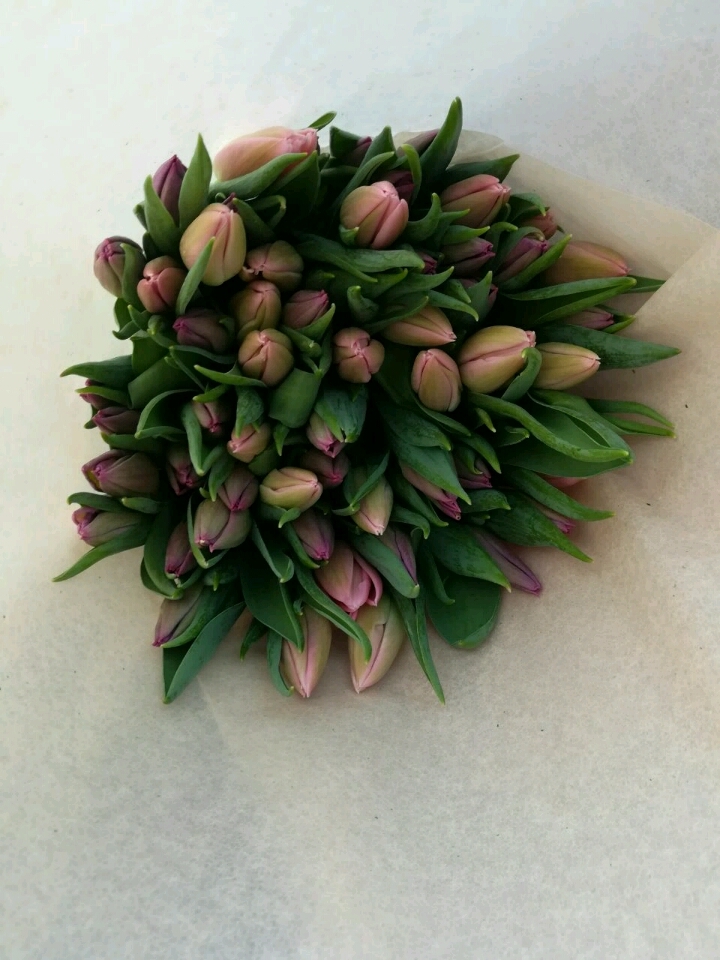 Do you love your job? Part two - My, Tulips, Work, The photo, Text, Longpost