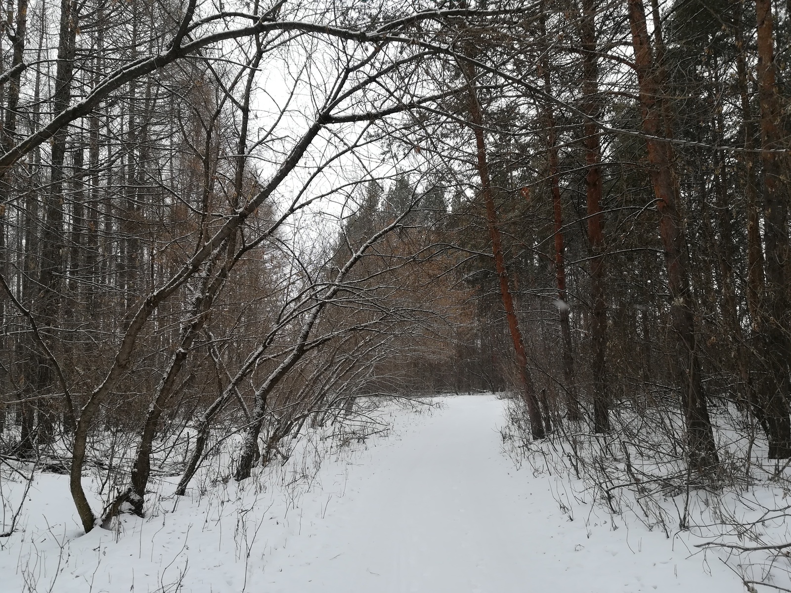 Просто мрачное место за городом. Ассоциации?) - Моё, Башкортостан, Зима, Страшно, Длиннопост