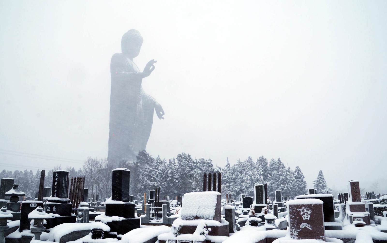 Amitabha Buddha statue in Ushiku, Japan - The statue, Buddha, Japan, Reddit, Cemetery, Sculpture