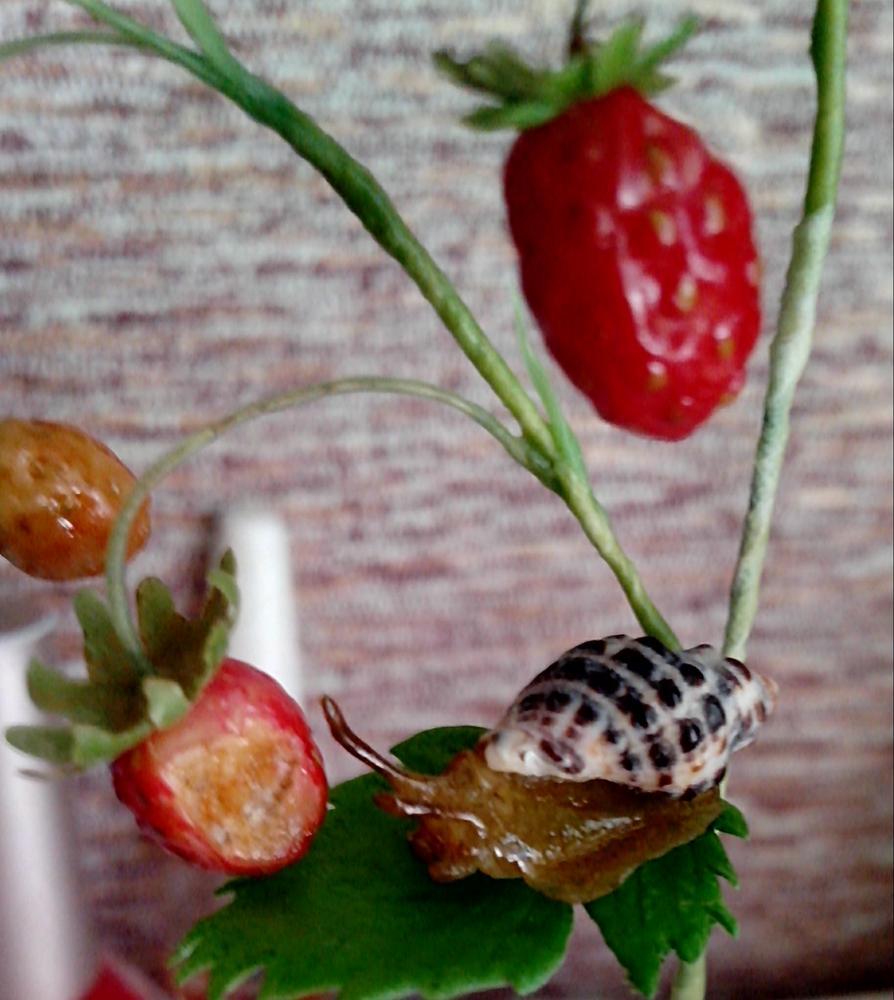 Strawberry. Cold porcelain. - My, Polymer clay, Cold porcelain, Needlework without process, Strawberry, Berries, Longpost