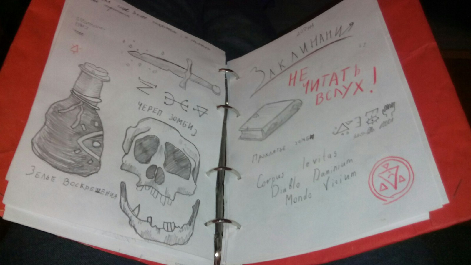 Diary from Gravity Falls - My, Gravity falls, Longpost, With your own hands