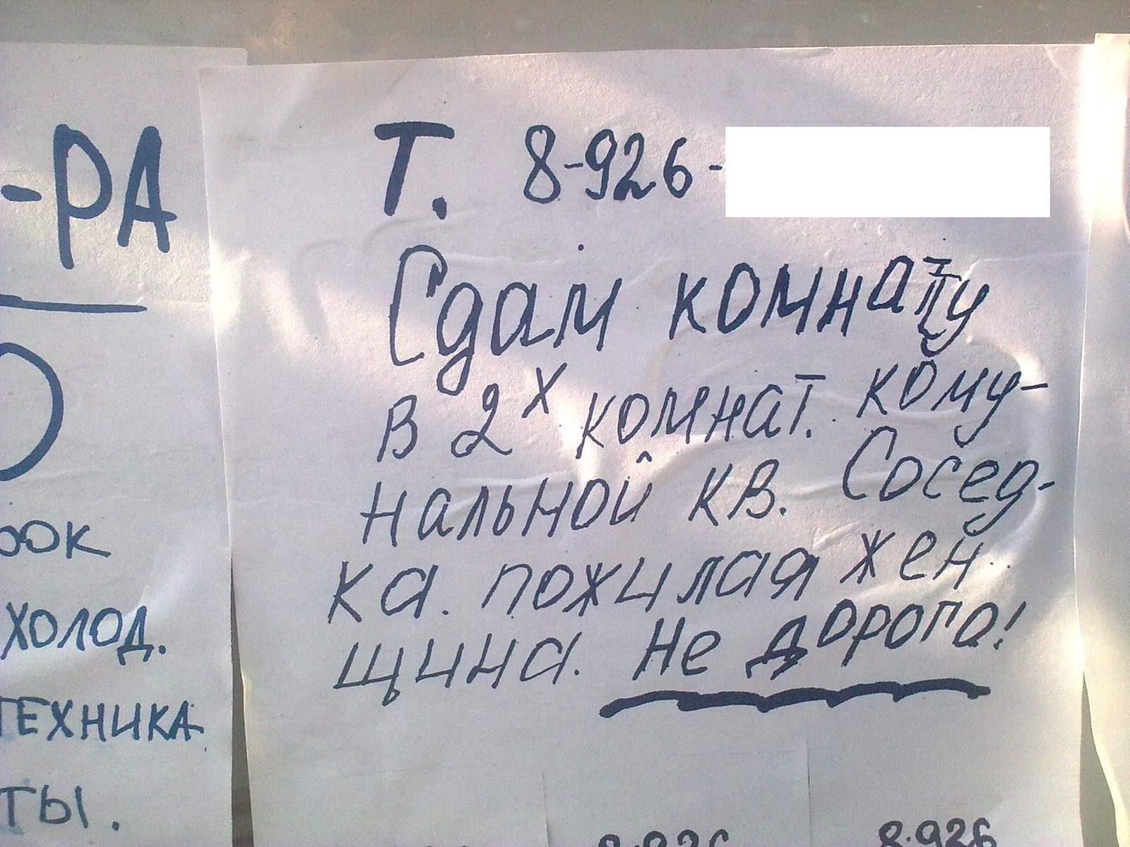 Пожилая женщина недорого. К вопросу о пенсионной реформе. - Моё, Объявление, Юмор