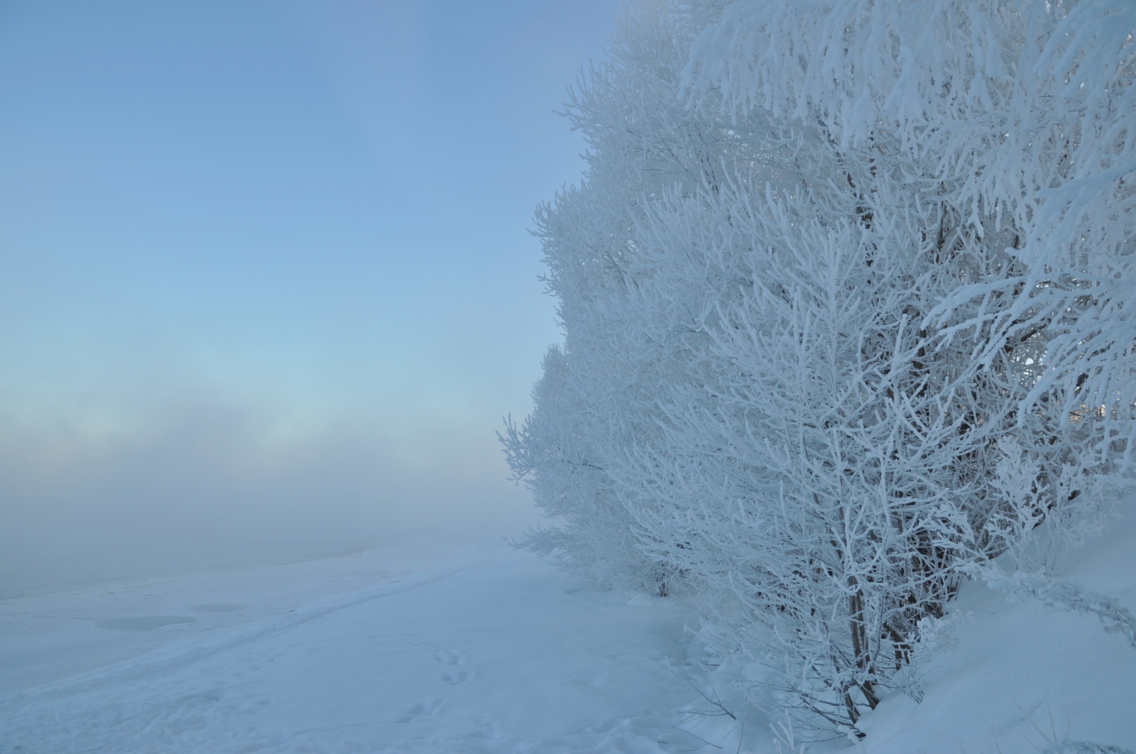 Frosty morning - My, freezing, Volga, Dubna, The photo