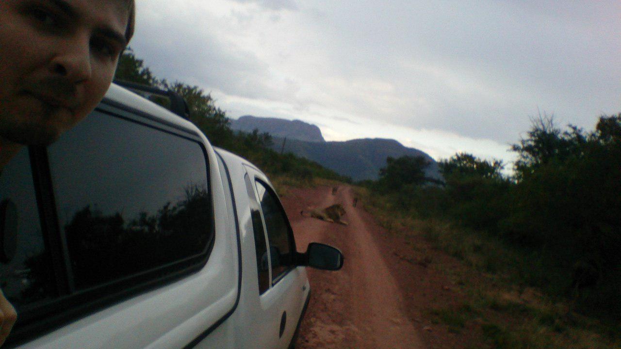 First trip to South Africa. - My, South Africa, Africa, Limpopo, a lion, Rhinoceros, Longpost