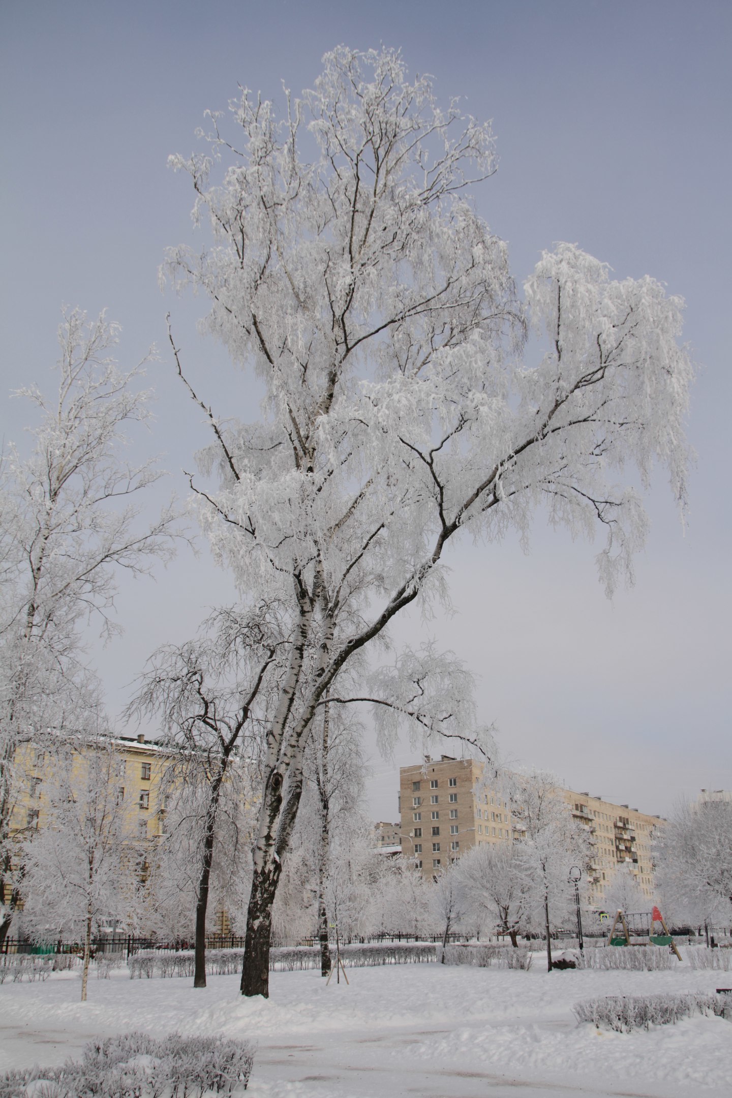 And in St. Petersburg the day before yesterday it was winter - My, Winter, Frost, Saint Petersburg, The photo, freezing, Canon 7d, Longpost