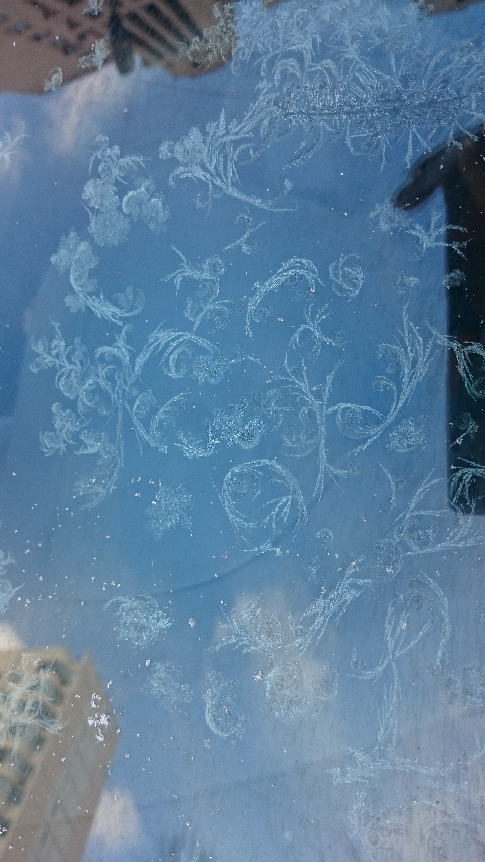 Blue blue frost. - My, beauty of nature, Longpost, Frost, Winter, freezing, Patterns on the window, The photo