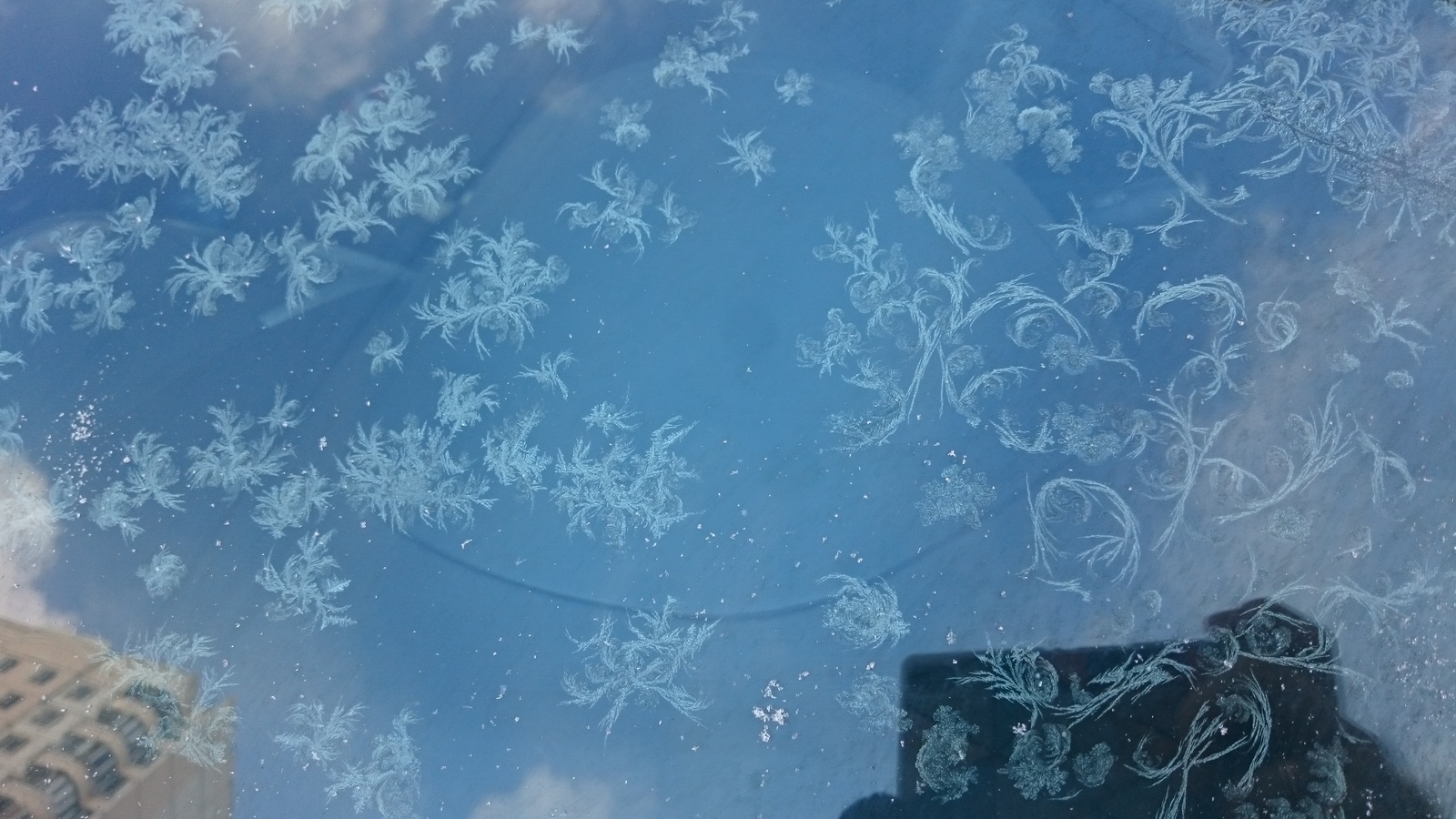 Blue blue frost. - My, beauty of nature, Longpost, Frost, Winter, freezing, Patterns on the window, The photo