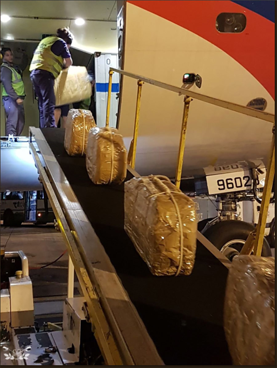 Flightradar confirmed the arrival of the Il-96 from the cocaine case to Argentina. - Argentina, Cocaine, news, Longpost