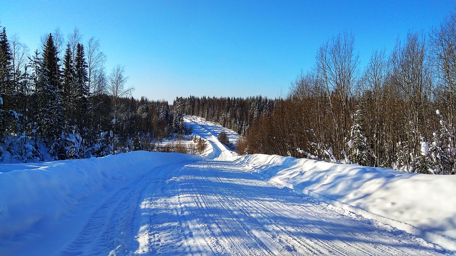 Winter road to the country - My, Longpost, Dacha, Winter, freezing, Komi, The photo, Road