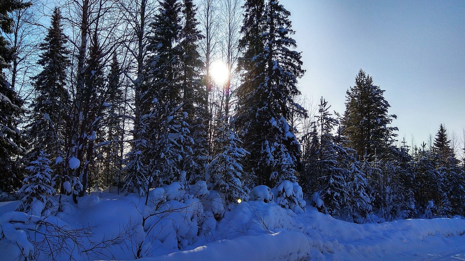 Winter road to the country - My, Longpost, Dacha, Winter, freezing, Komi, The photo, Road