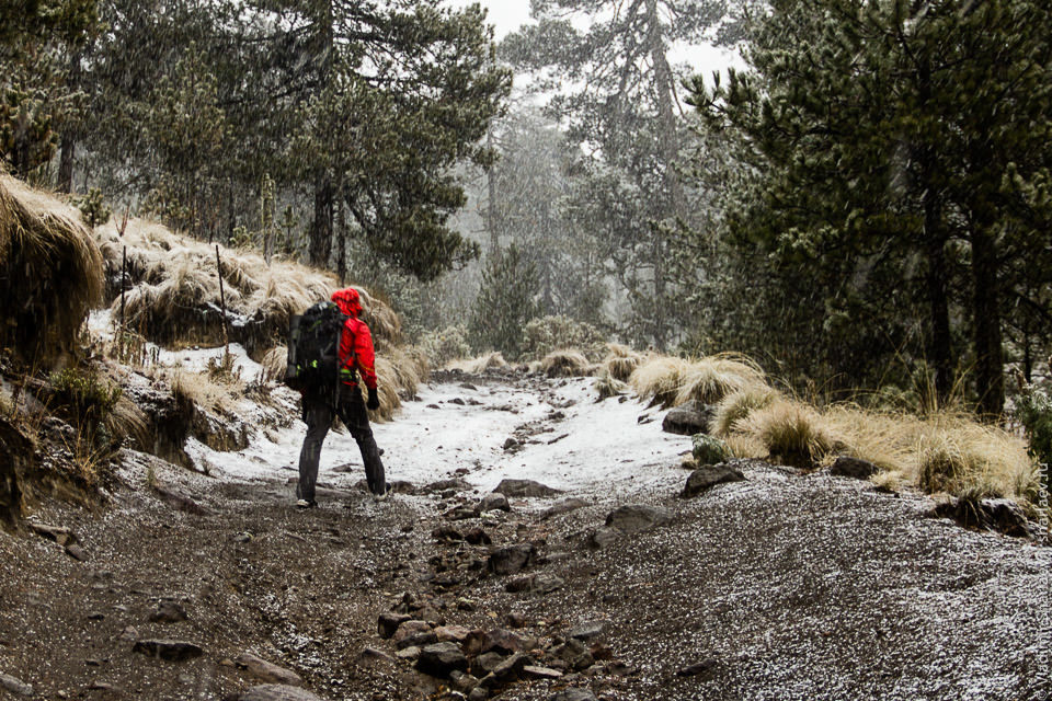 Mexico. snowy tropics - My, Mexico, Travels, The mountains, Climbing, Longpost