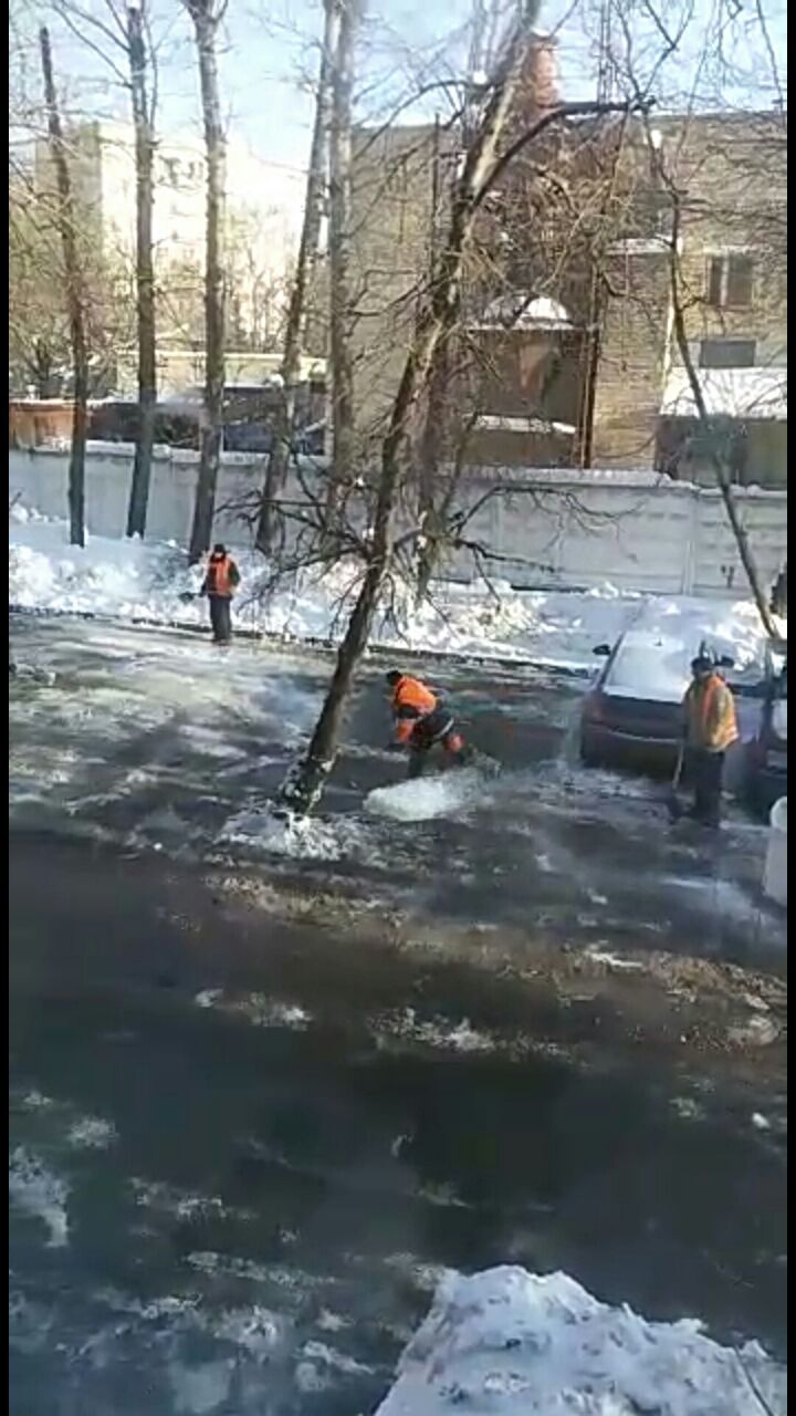 Preparing for the elections - My, Snow removal, Moscow, Courtyard, Tree, Salt, Ice, , Street cleaner, Longpost