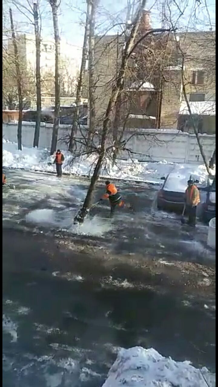 Preparing for the elections - My, Snow removal, Moscow, Courtyard, Tree, Salt, Ice, , Street cleaner, Longpost