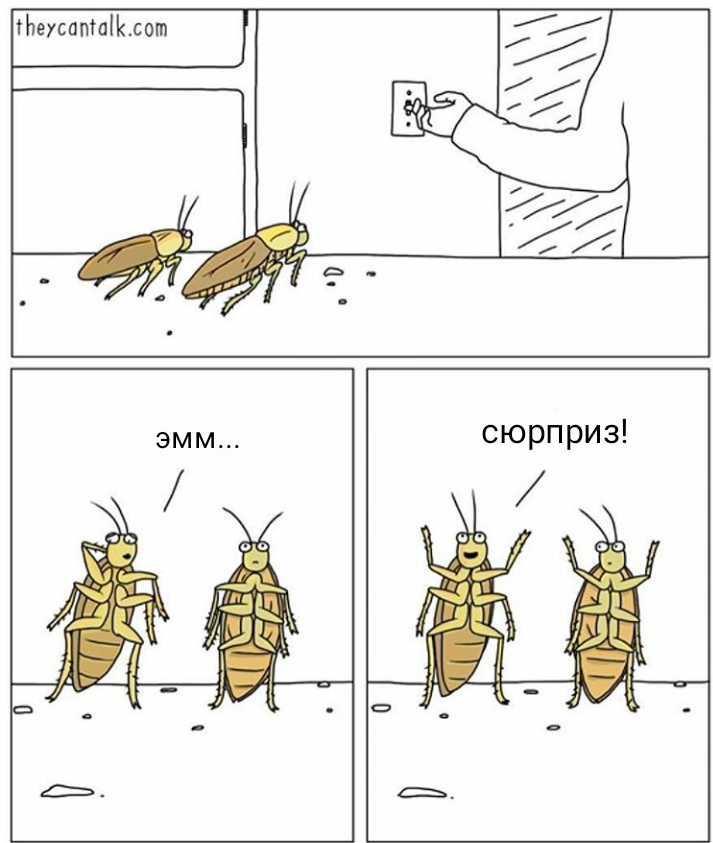 Suddenly - Humor, Comics, Theycantalk, Cockroaches, Not mine