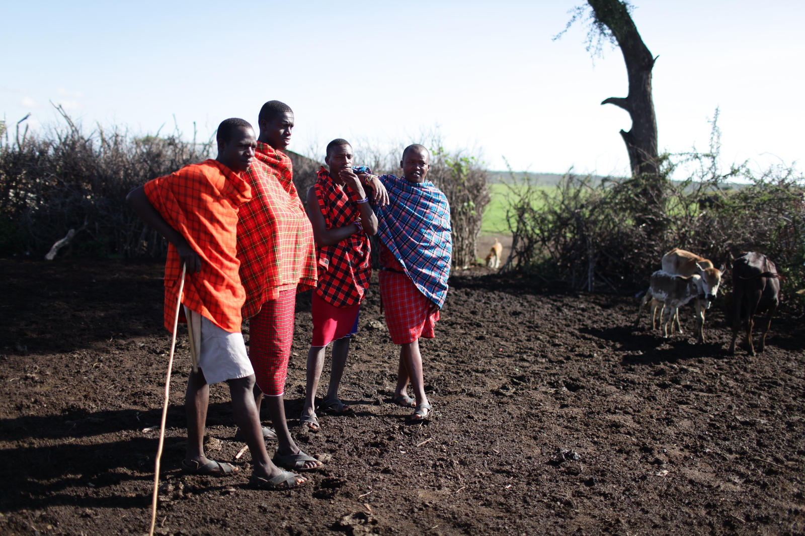 Masai Mara - My, Kenya, Africa, Masai Mara, , Savannah, Longpost, Tribes