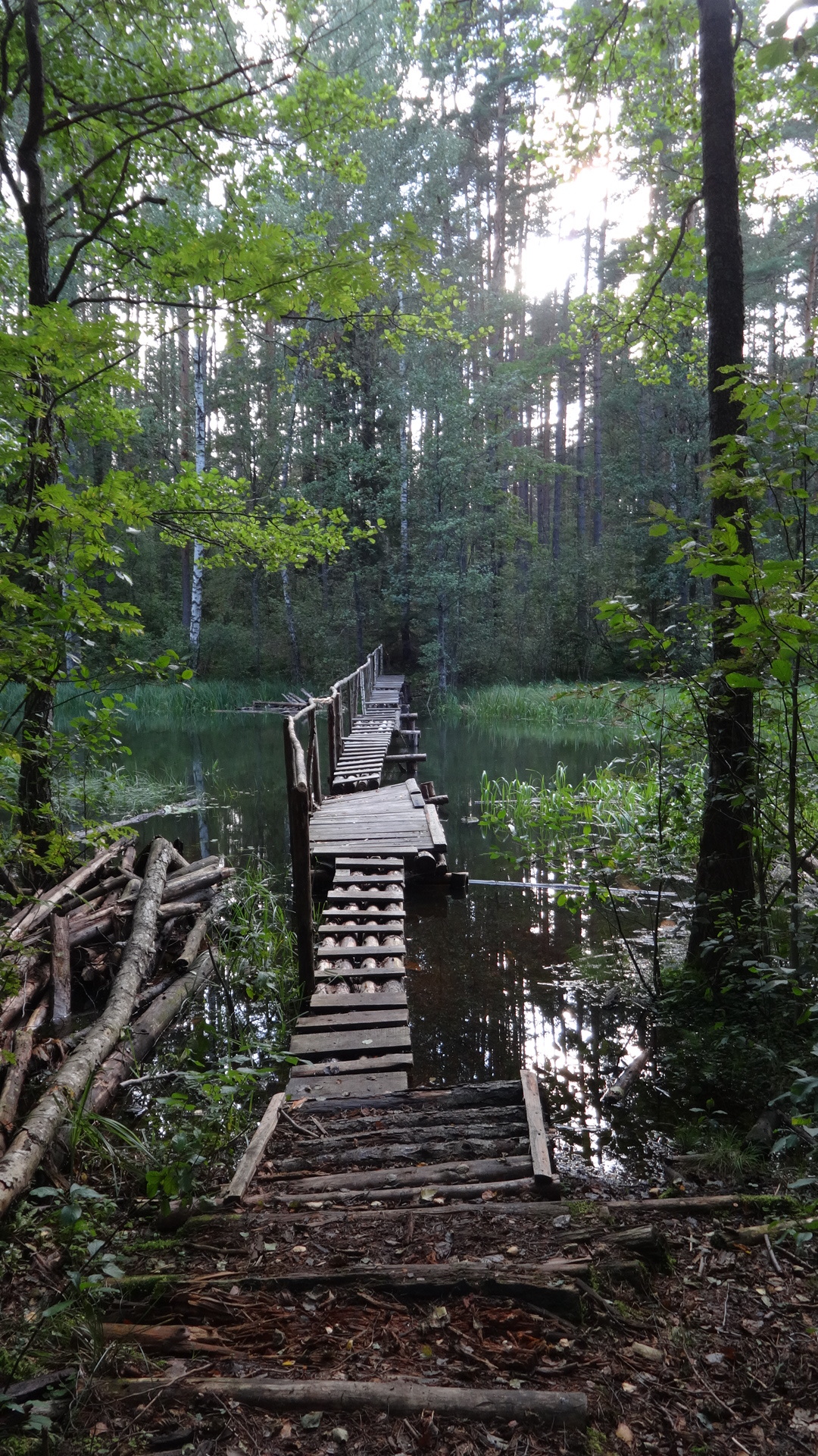 Bridge - My, Bridge, Forest, Summer, Pskov region, The photo, River