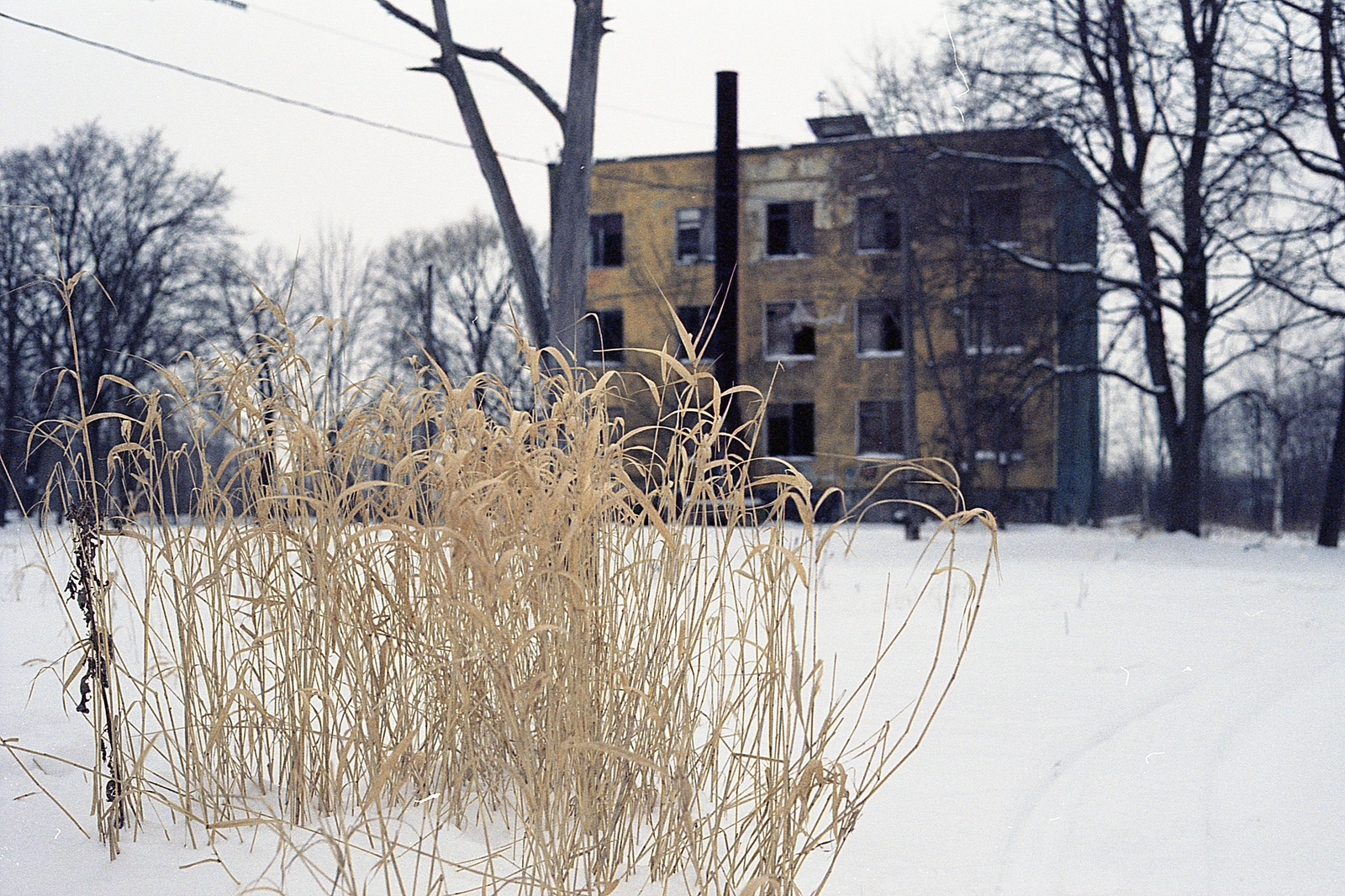 House without people. - My, The photo, Longpost, camera roll, Abandoned, My, Saint Petersburg, Text