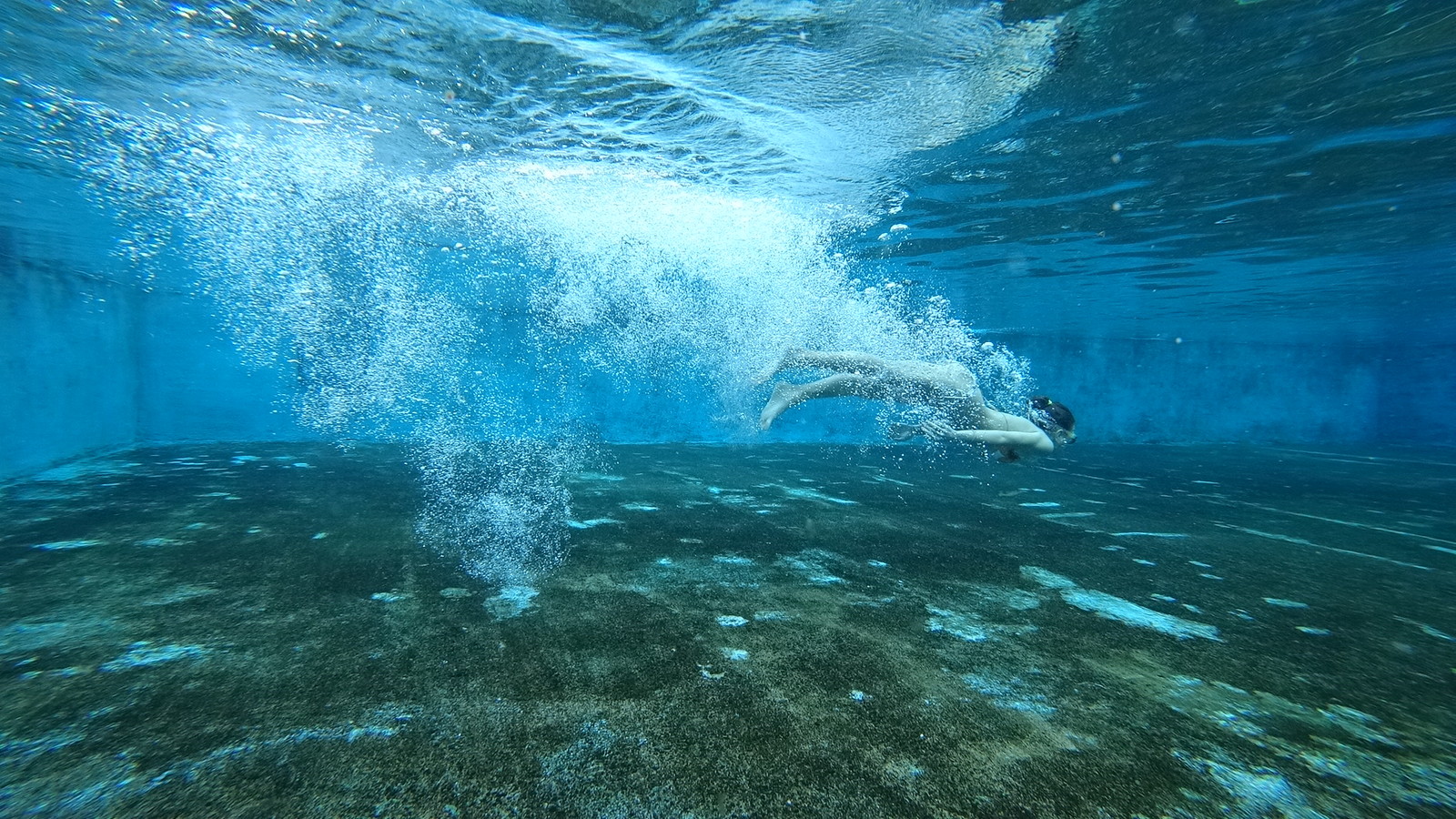 We bathe in warm mineral water. Chunja region. The hot springs. Kazakhstan. (Photo, Video) - My, Chunja, The hot springs, Kazakhstan, Almaty, Video, Movement is life, Nature, Water, Longpost