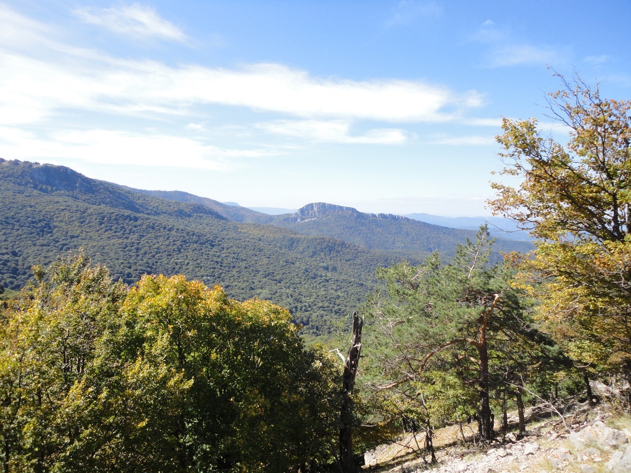 Crimean Natural Reserve - My, beauty of nature, Crimea, Skirts, Alushta, Yalta, Longpost