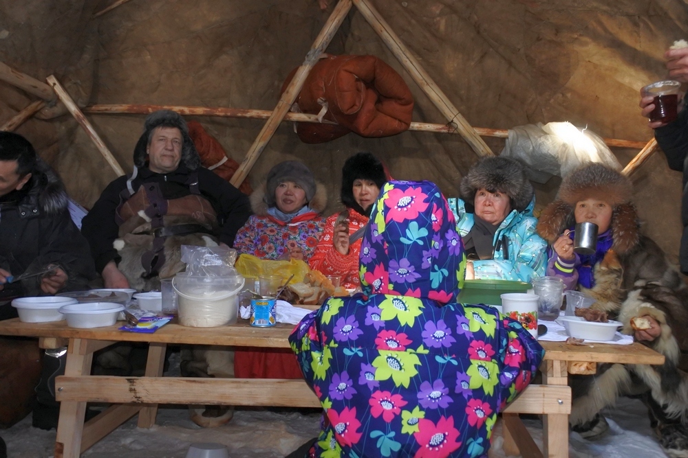 How much does a modern dwelling of a Chukchi reindeer breeder cost? - Chukchi, Chukotka, , Longpost