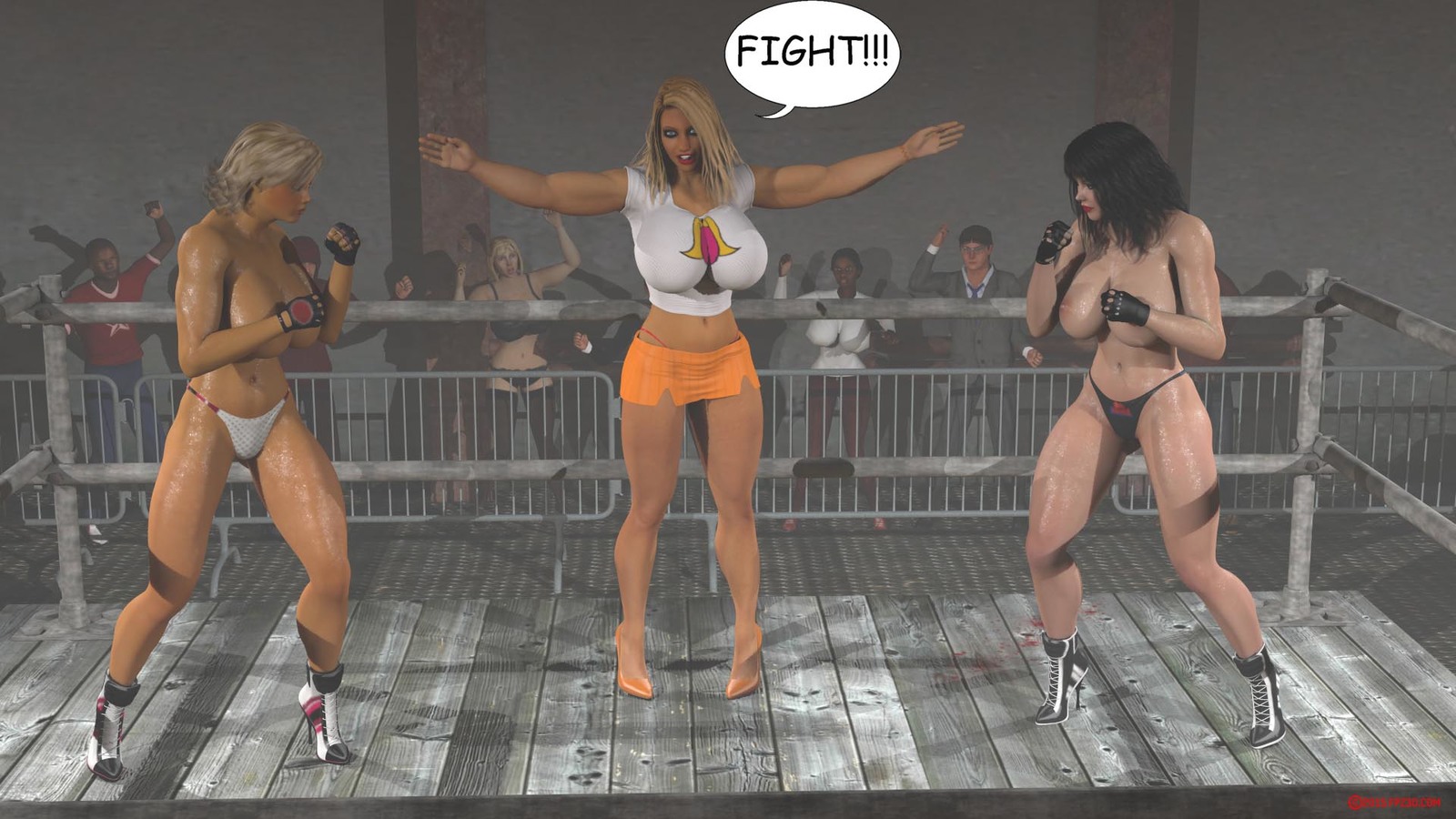 Art by FPZ3D - NSFW, March 8, Fight, The fight, , female fight, Girls, Erot...