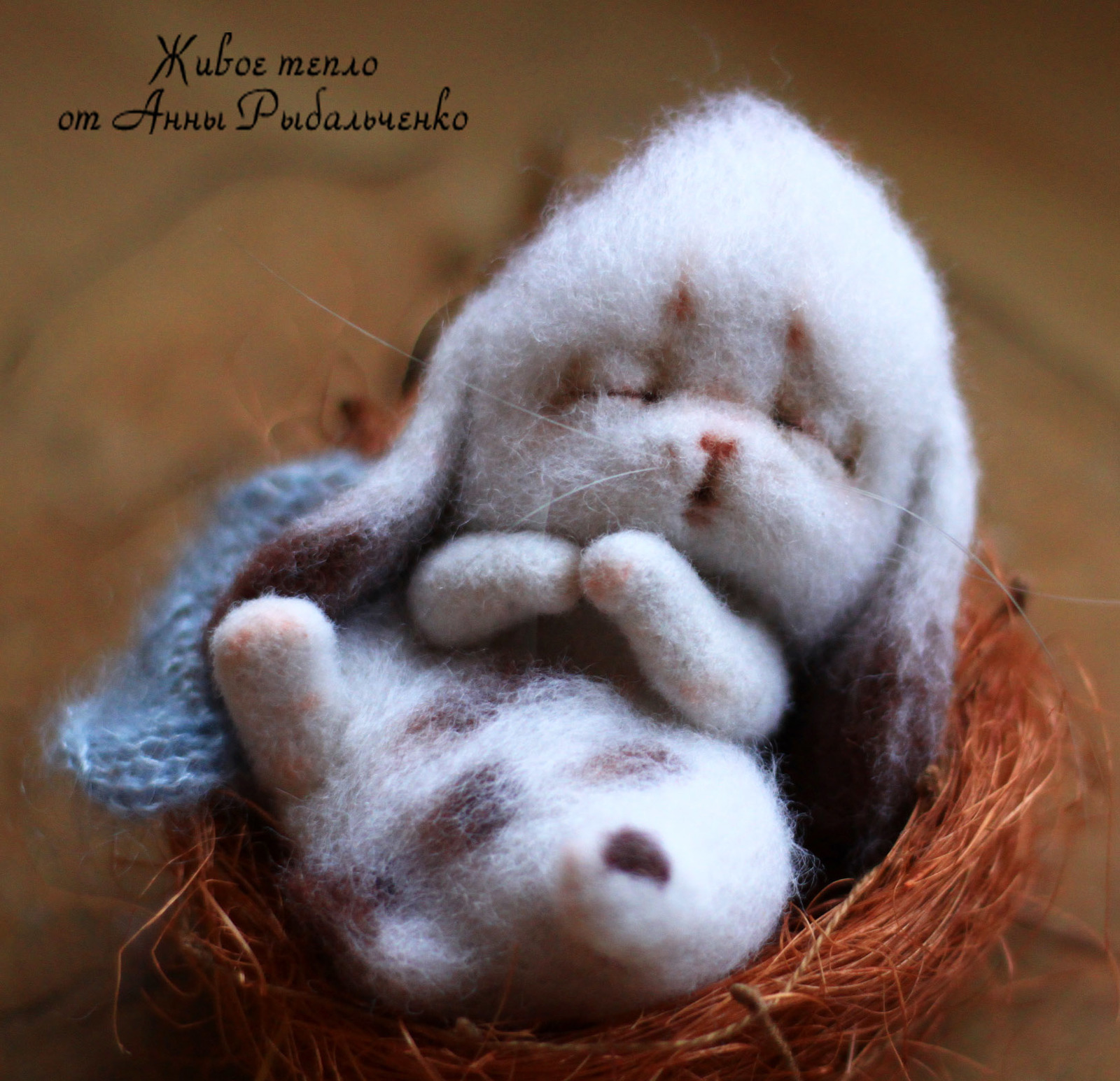 Sleeping wool bunny - My, Needlework without process, Longpost, Handmade, , Wool toy, Dry felting