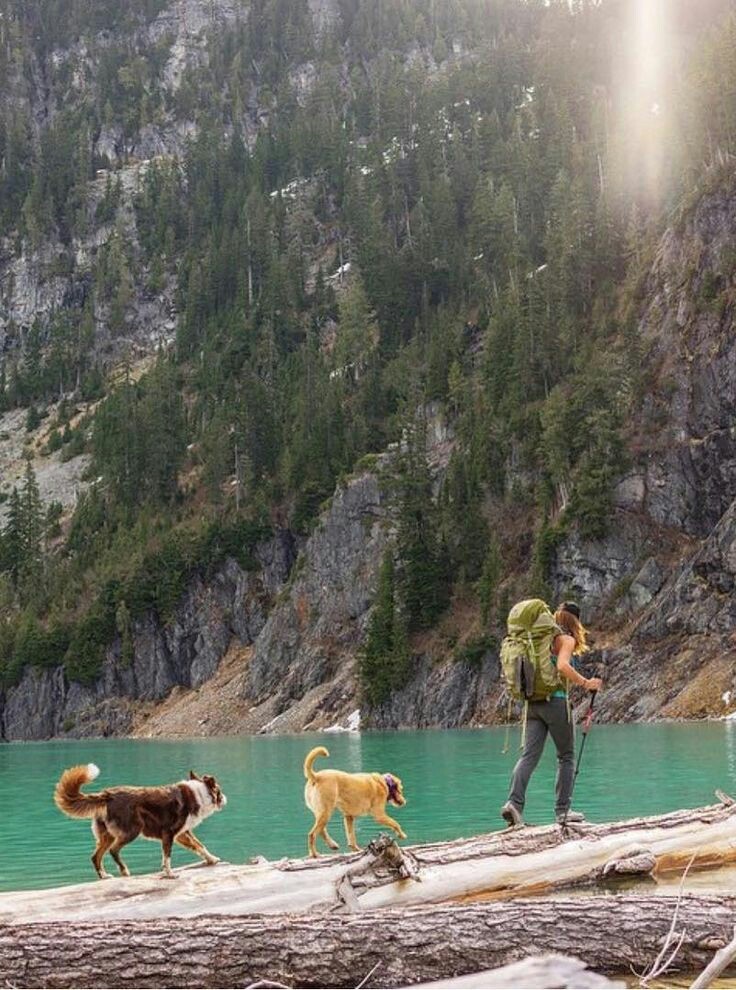 Take your dog with you - Pinterest, Dog, Friend, Tent, Backpack, A boat, Bonfire, Travels, Longpost