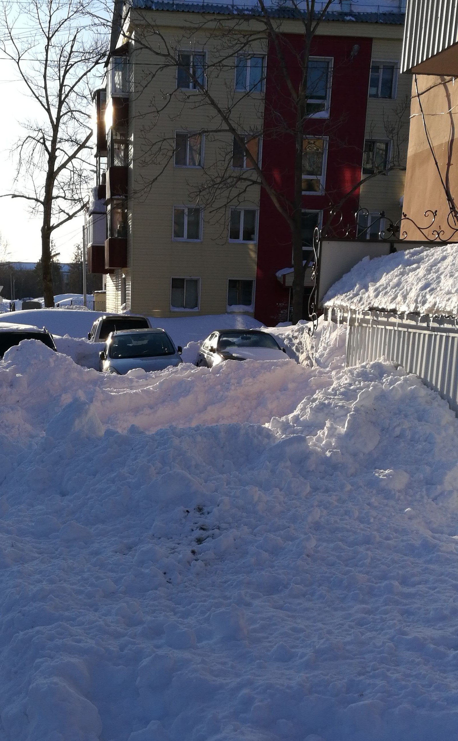 Not our territory - My, Sakhalin, Snow, Longpost