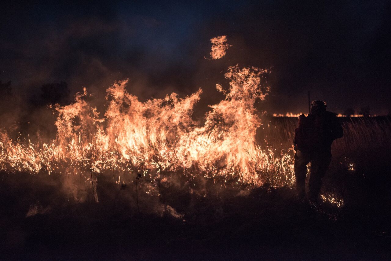 A Day in the Life of a Volunteer Firefighter - Forest fires, Extinguishing, Fire, The photo, Longpost, Negative