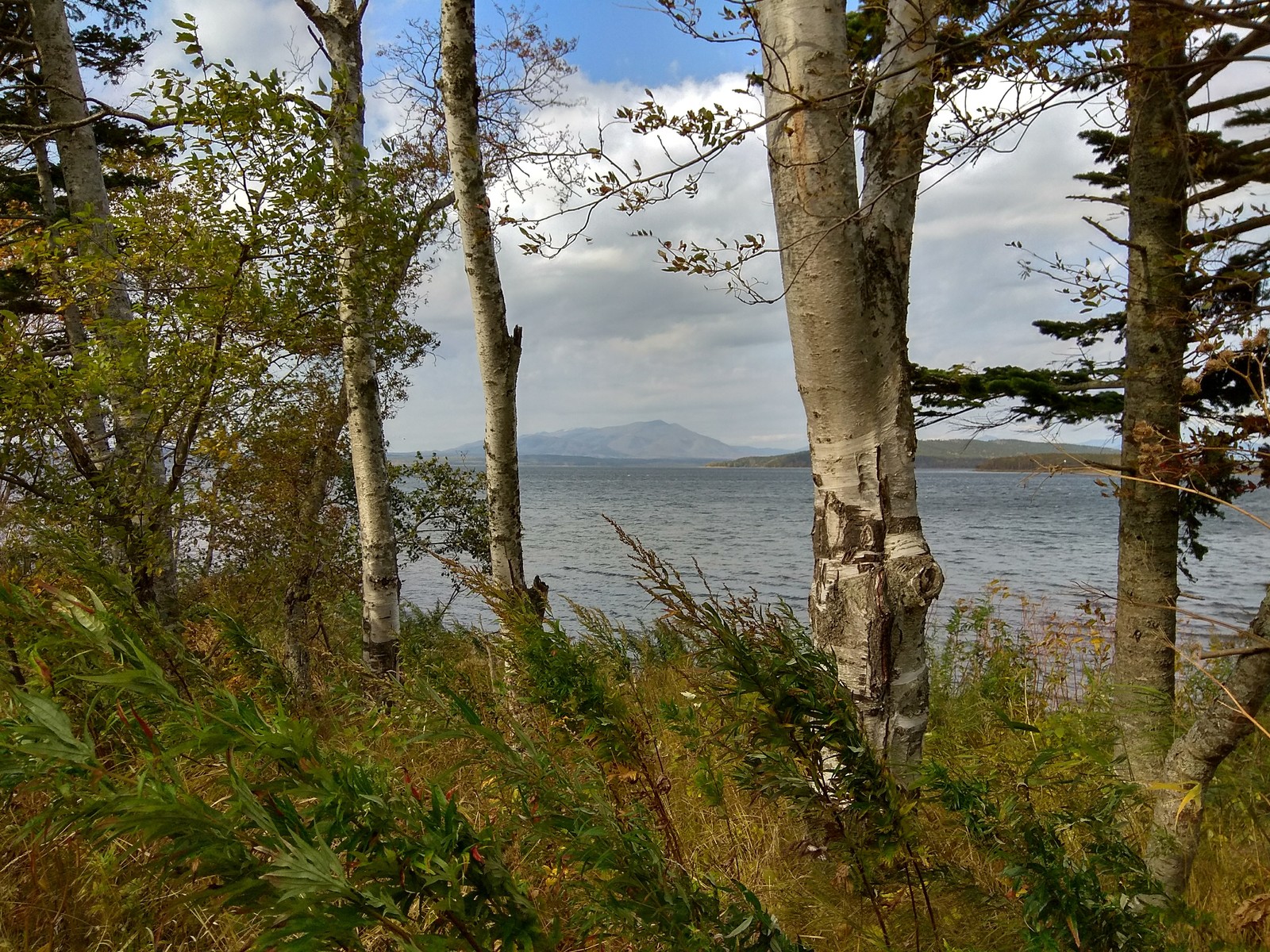 On Sakhalin - My, Sakhalin, Yuzhno-Sakhalinsk, Sea, Sea of ??Okhotsk, Autumn, Longpost