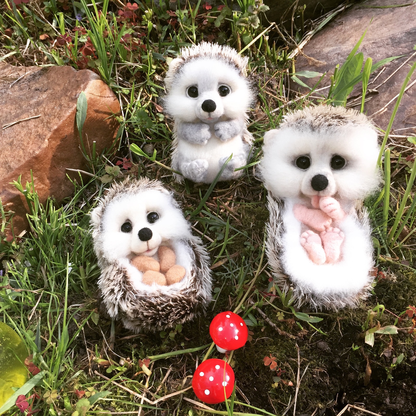 Hedgehog Shunechka - My, Needlework without process, Dry felting, Hedgehog, With your own hands, Hobby, Author's toy, Handmade, Longpost