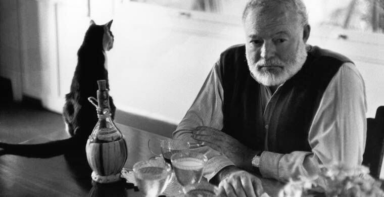 Ernest Hemingway's cats - cat, Writer, Story, The photo, Ernest Hemingway, Writers