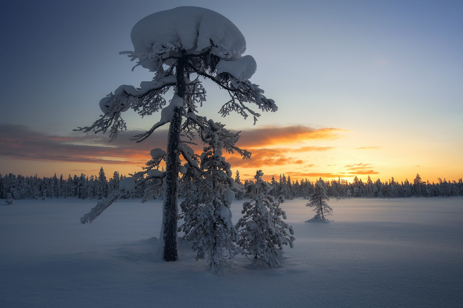 Murmansk region - Russia, The photo, Nature, Landscape, Snow, freezing, , Longpost