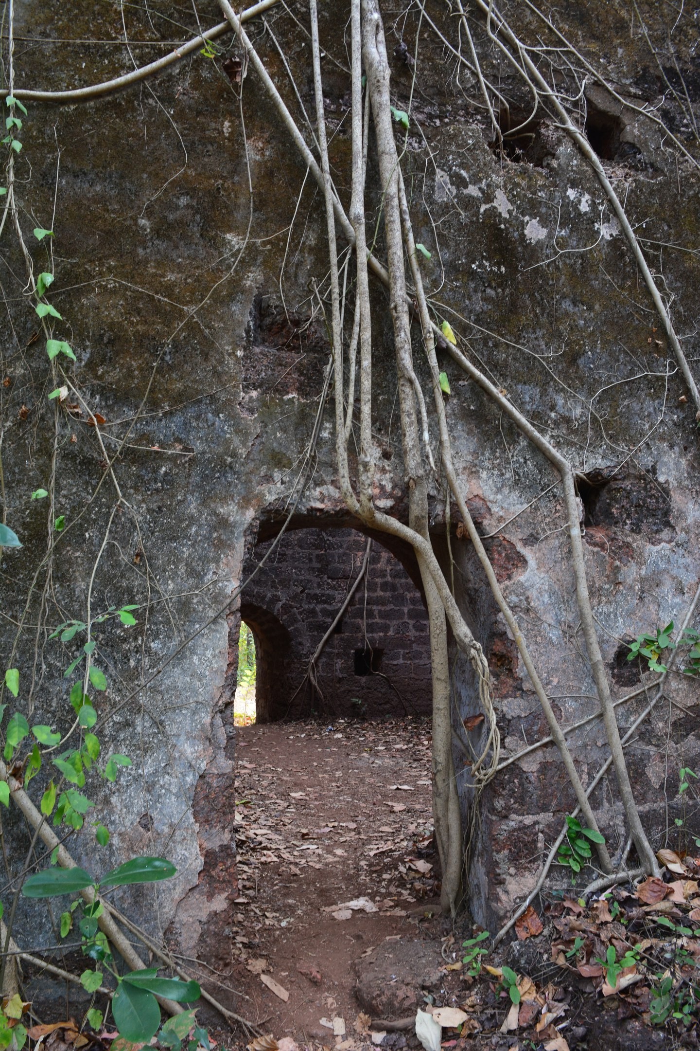 Jungle fort in north Goa - My, Travels, The photo, India, Goa, Abandoned, Fort, Longpost