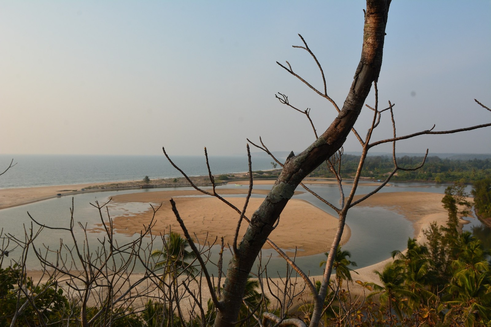 Jungle fort in north Goa - My, Travels, The photo, India, Goa, Abandoned, Fort, Longpost