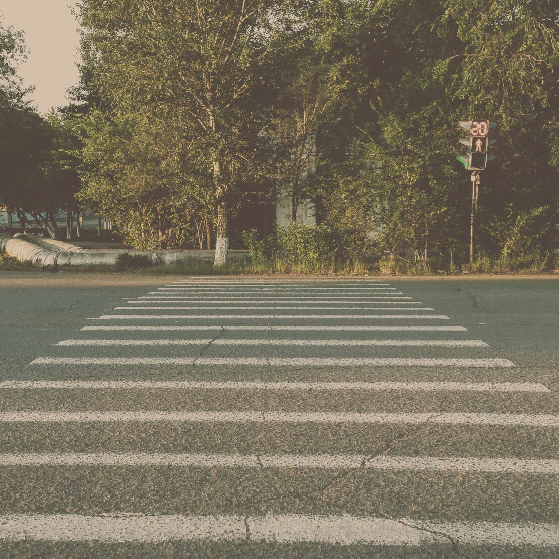 Road. - My, My, Beginning photographer, Road, zebra, Path, Morning