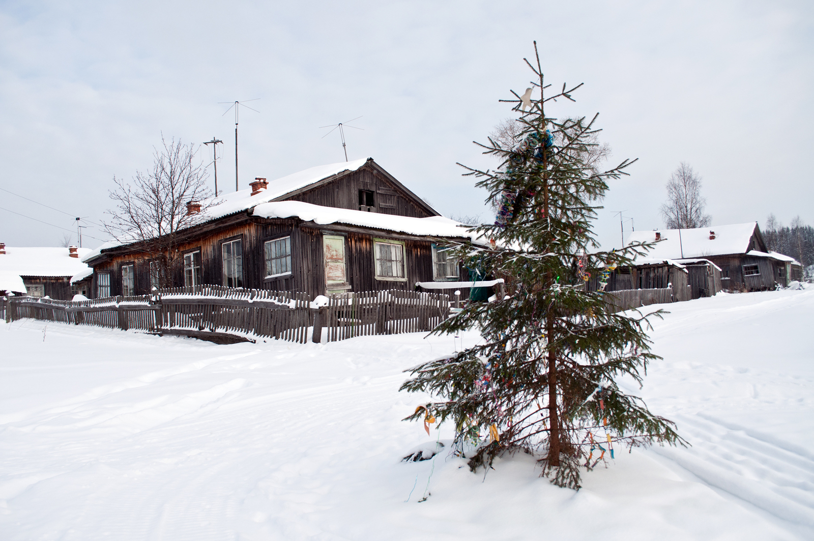 Seza village. - My, Russia, Railway, Narrow gauge, Russian North, Longpost