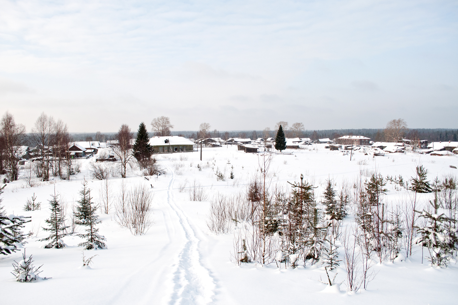 Seza village. - My, Russia, Railway, Narrow gauge, Russian North, Longpost