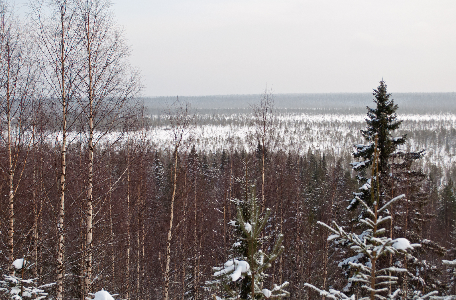 Seza village. - My, Russia, Railway, Narrow gauge, Russian North, Longpost