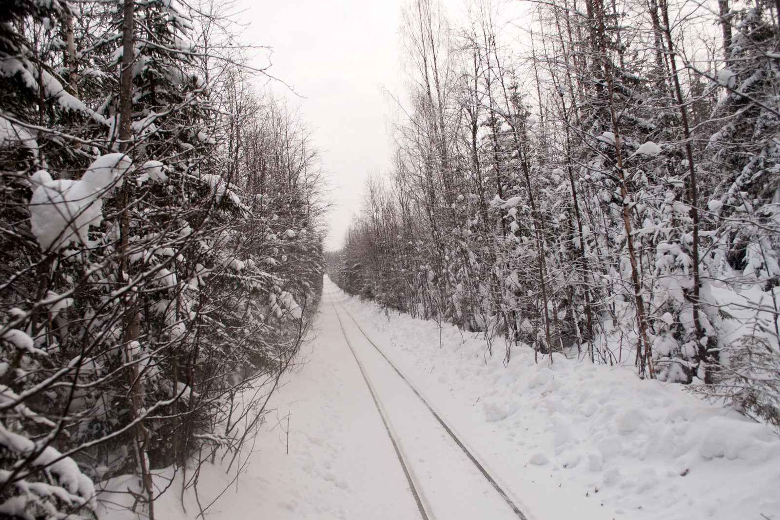 Seza village. - My, Russia, Railway, Narrow gauge, Russian North, Longpost