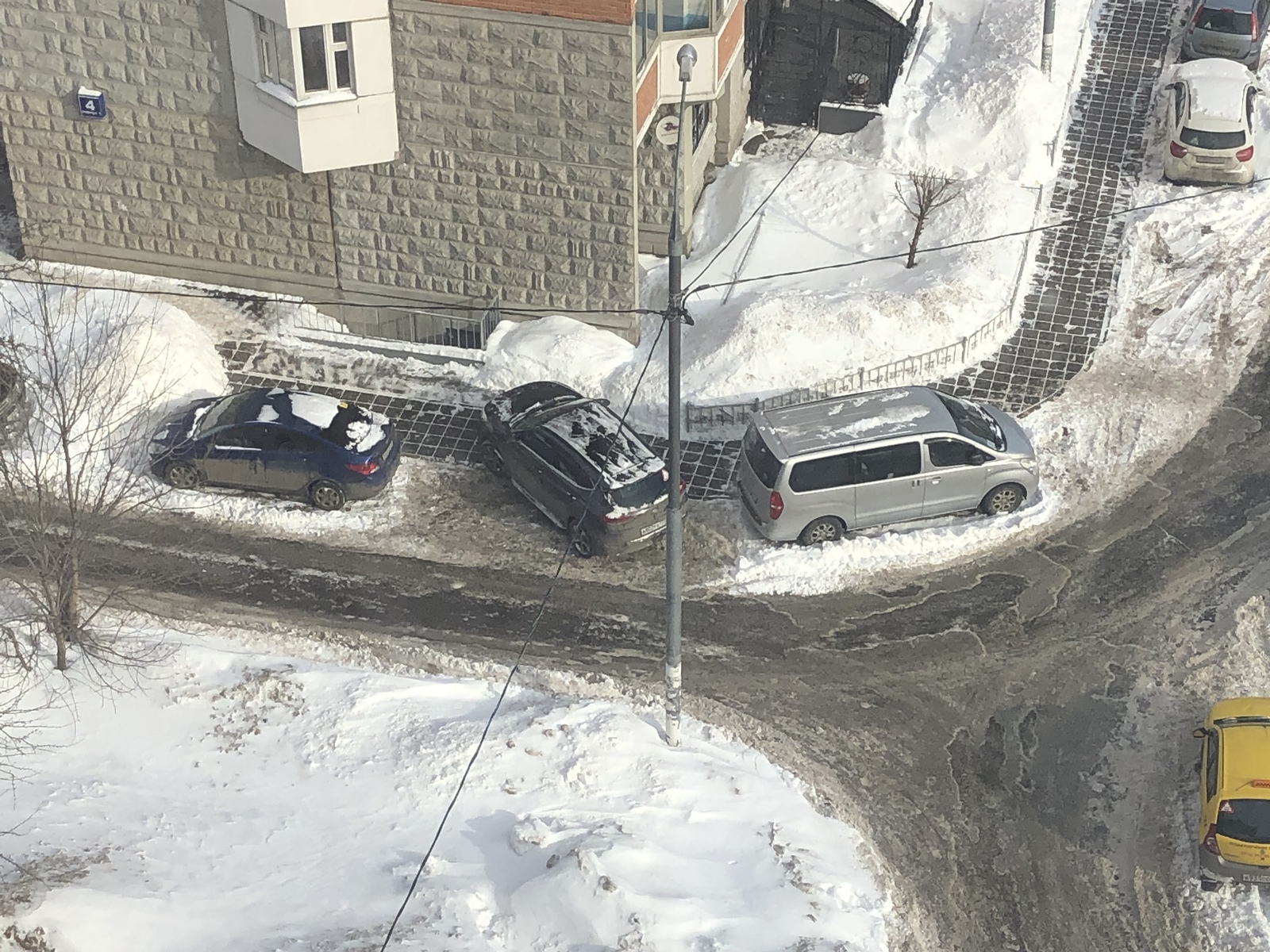 And let all pedestrians bypass... - Parking, Cattle