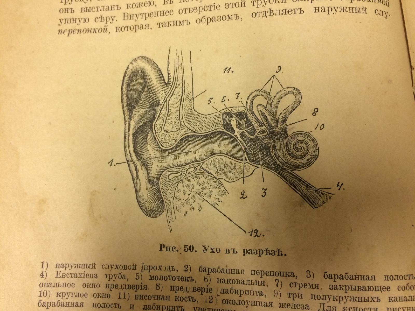 Old book. Leadership of company paramedics. Anatomy and Physiology - My, Books, Old books, The medicine, Longpost