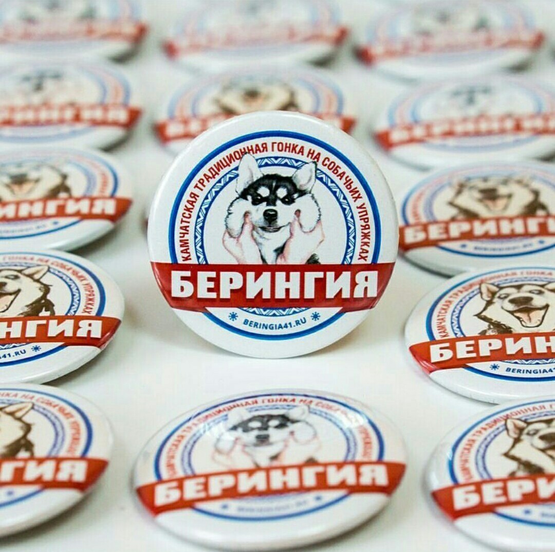 Beringia 2018. For the Guinness record. Start. - Husky, Kamchatka, The race, Dog sled, Beringia, Start, Guinness Book of Records, Longpost