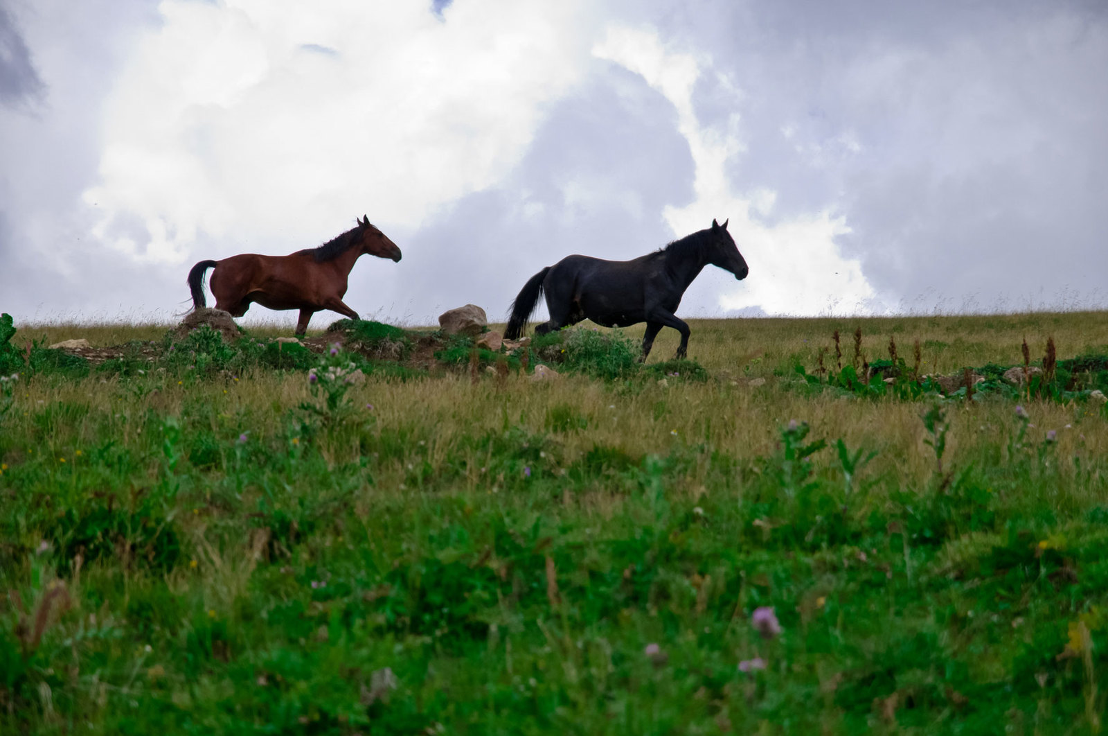 They beckon me with their beauty and grandeur... day 4-5 - My, Hike, Caucasus, Arkhyz, Nature, Route, Report, Travels, Longpost