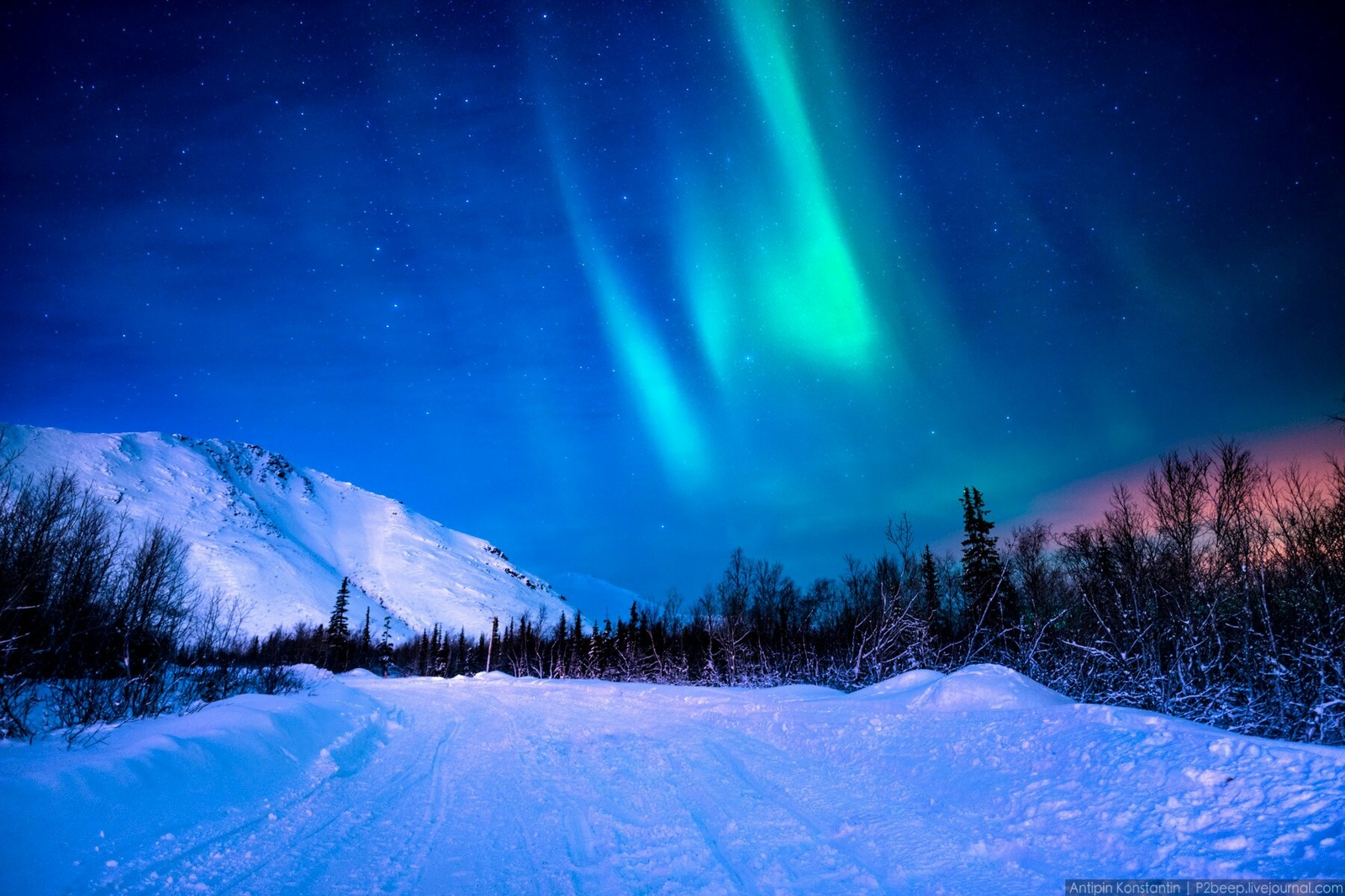 The northern lights are mesmerizing! - Polar Lights, beauty, The photo, A selection