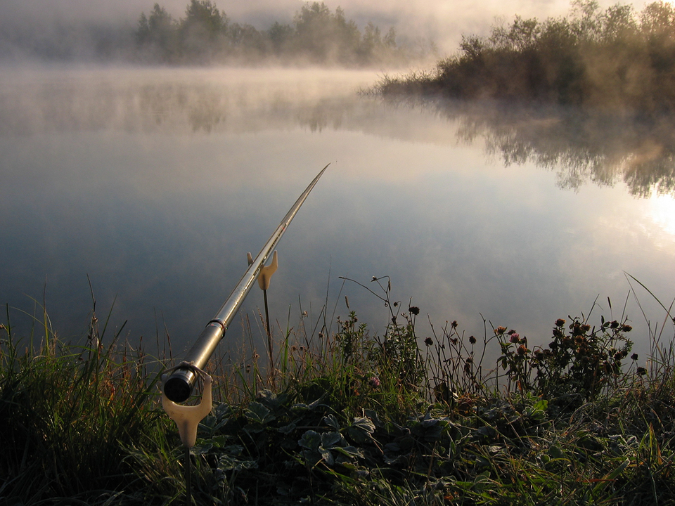 morning dawn - Zorka, Coming soon, Fishing, Pond, Silence, The photo