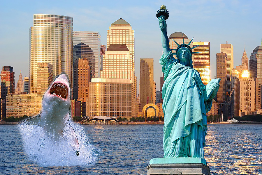 Shark vs US government - Story, Animals, , Shark, Longtext, Longpost, Popular culture